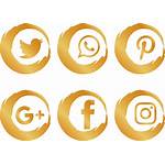 Social Icons Icon Brush Sociales Network Redes