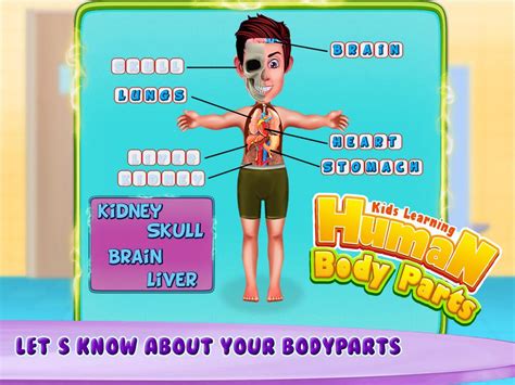 Kids Human Body Parts Learning Game Apk For Android Download
