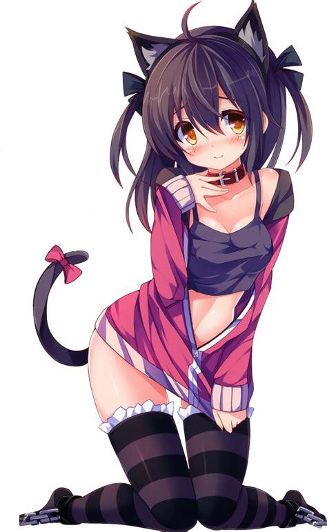 Lewd Anime Neko Girl