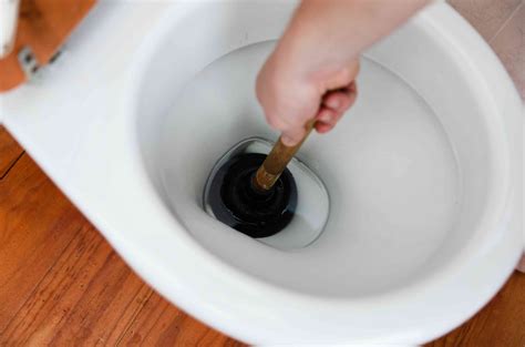 Common Toilet Problems You Can Fix Yourself