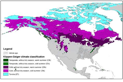 A Confined Köppen Geiger Climate Type Map Of North America Showing