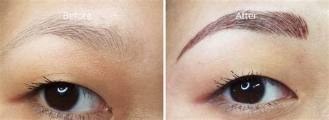 Asian Eyebrow North Dallas Permanent Cosmetics