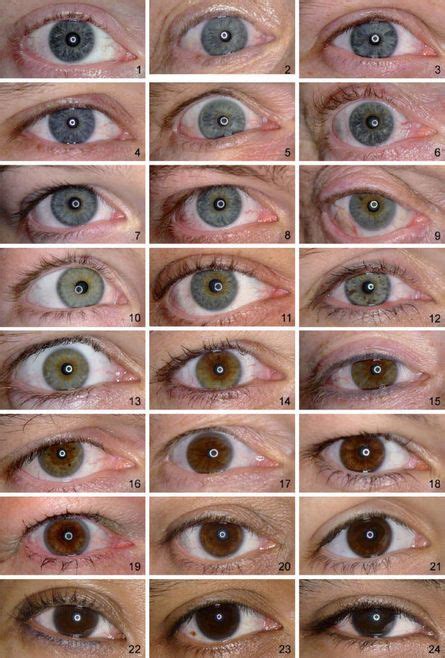 Dnaland Eye Color Chart Eye Color Rare Eye Colors