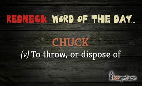 Pin On Redneck Dictionary Word Of The Day