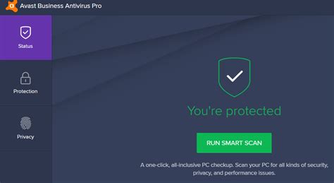 Avast Business Antivirus Scan With Password Protection Enabled