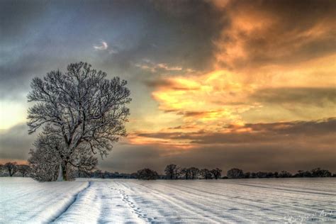 Norfolk Landscapes