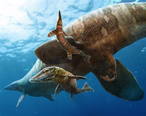 Smithsonian Insider Fossil Shows Prehistoric Reptile Gave Birth In Open Ocean Smithsonian