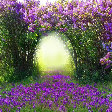 Buy Laeacco Spring Purple Flowers Grove Scenery Baby