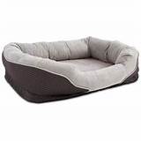 Petco Beds For Dogs Pictures
