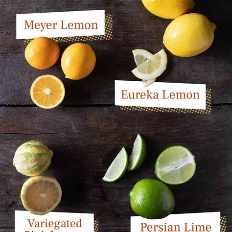 A Guide To Citrus Oranges Lemons Mandarins And More