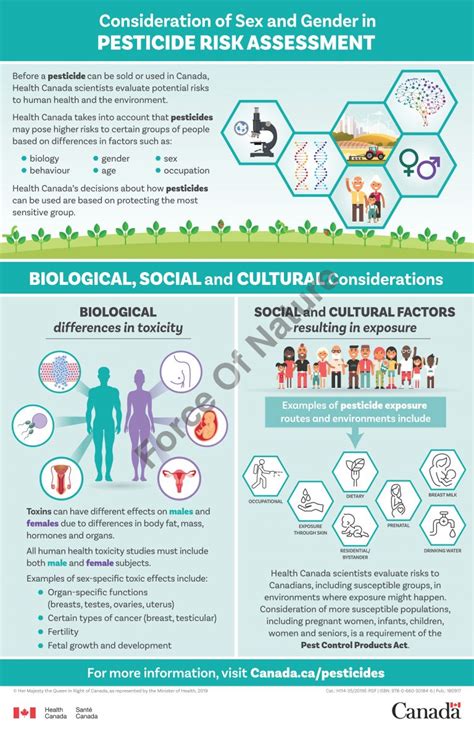 Force Of Nature — Speaking Out — 2019 2020 — Health Canada — Infographic — Consideration Of