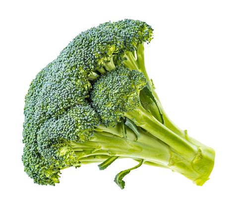 229 Fresh Head Broccoli White Background Cutout Photos Free And Royalty