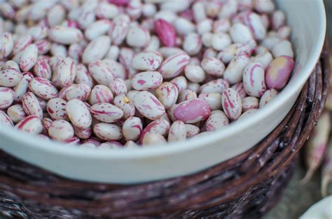Bag dried cranberry, navy, or pinto beans. La Tavola Marche: The Beautiful Borlotti: Speckled Cranberry Beans {5 Recipes}