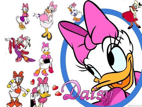 76 Daisy Duck Wallpaper