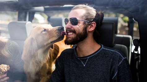 Men With Beards Carry More Germs Than Dogs Including Deadly Bacteria In