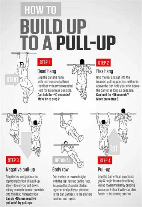 The Best Pull Up Program For Beginners Progression Exercises 💪