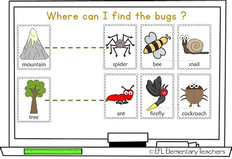 Esl Insects Unit Flashcards Insect Unit Elementary Special