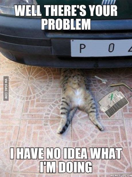 Worstcutest Mechanic Ever Funny Animal Pictures Cats Cat Puns
