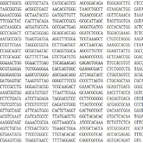 The 16s Rdna Sequence Amplified From Rumen Bacillus Subtilis Strain