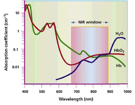 Near Infrared Light 650 900 Nm Is Of Particular Interest In