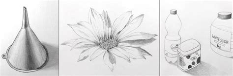 Beginner Easy Flower Drawings In Pencil Montor Nublek