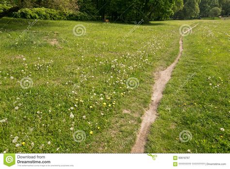 Lonely Path On A Green Meadow With Dandelions Stock Image Image Of