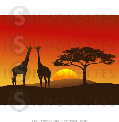 Silhouette Clipart Of A Giraffe Pair Silhouetted On A Hilly African Landscape Near A Tree In