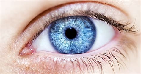 Todas Las Personas De Ojos Azules Comparten Un Antepasado Común