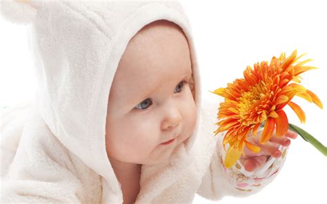 Cute Baby Hd Desktop Wallpaper Pictures Download