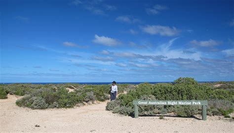 0586 Great Australian Bight Marine Park Sa Above The Bu Flickr