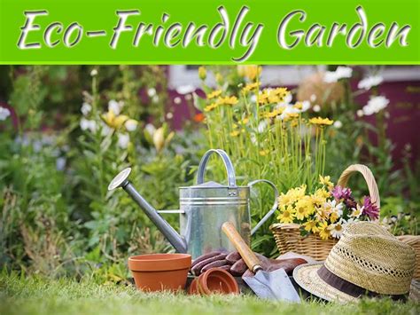Eco Friendly Garden Ideas