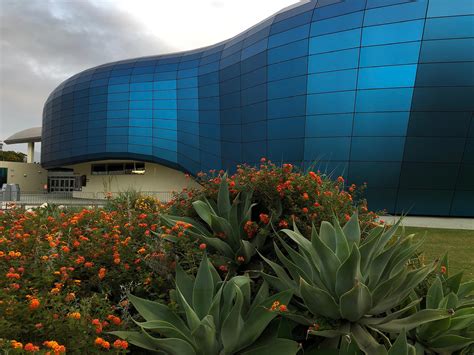 Pacific Visions Makes Waves at Long Beach's Aquarium of the Pacific ...