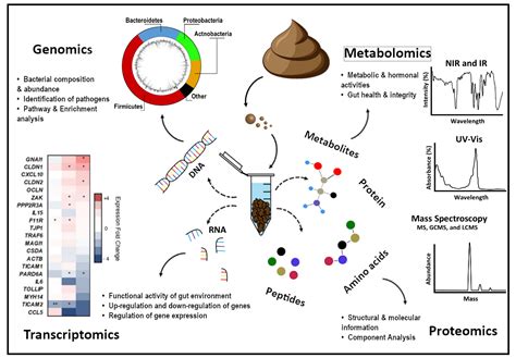 Ijms Free Full Text The Multiomics Analyses Of Fecal Matrix And Its Significance To Coeliac