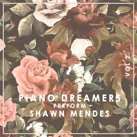 Piano Dreamers Piano Dreamers Perform Shawn Mendes Vol 2 Lyrics And