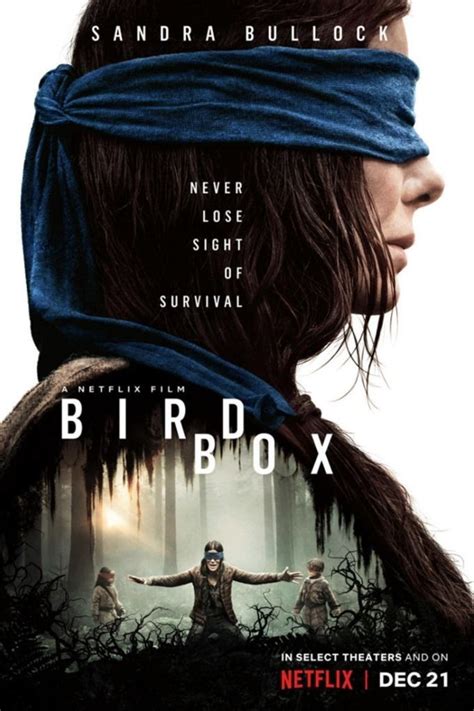 Bird box, like several other popular netflix titles, feels like a film written by algorithm, but it is in fact based on a 2014 novel by josh malerman, the kind of book that gets optioned a year maybe the sad fact is that that's the case with most movies, but it's awfully rude of bird box to make it so obvious. Bird Box - 2018 | Filmes, Pôsteres de filmes, Cartazes de ...