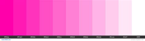 Fluorescent Neon Hot Pink Colors Palette Colorswall