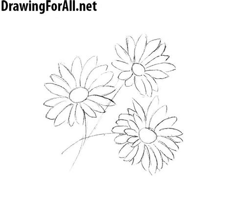 But what you can do is understand the basic structure of a flower and the general sketching techniques to express. How to Draw Flowers | Drawingforall.net