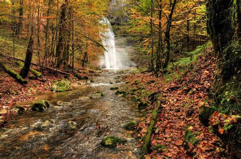 Autumn Forest With Waterfall By Burtn On Deviantart Autumn Forest
