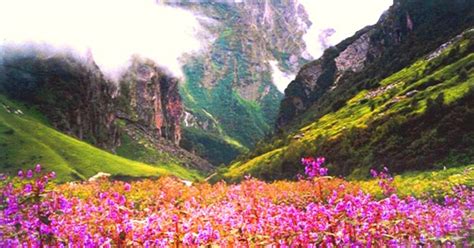 The Amazing World Valley Of Flowers National Park The Land Of Flowers