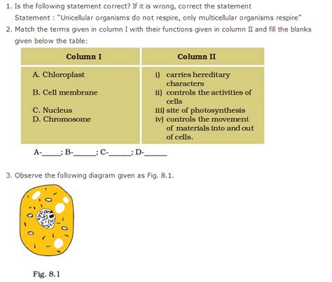 Important Questions For Class 8 Science Chapter 8 Cell Structure And