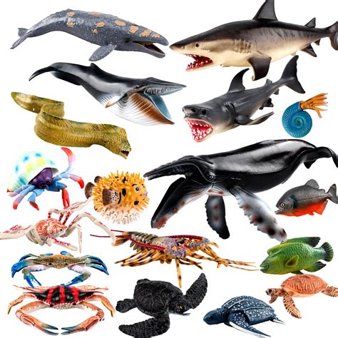 Buy Fantarea Sea Marine Animal Model Sealife Toys Model Playsets 18 Pcs