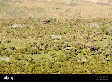 Aerial View Of The African Savanna Stock Photo Alamy