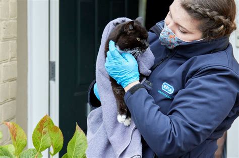 Rspca Fears New Pet Owners In Kent May Struggle This Winter
