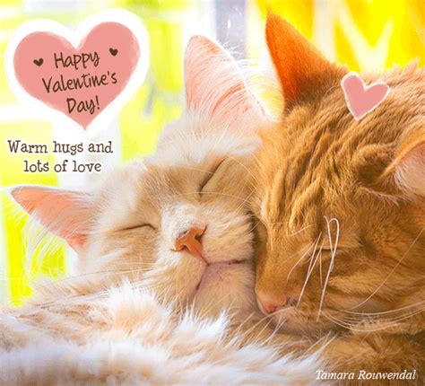 Happy Valentines Day Cat Hug Free Happy Valentines Day Ecards 123