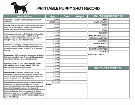 Free Printable Puppy Vaccination Puppy Shot Record Template Printable