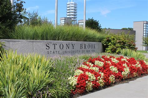 Stony Brook Faculty Ranked Fifth Worst Professors By Princeton Review