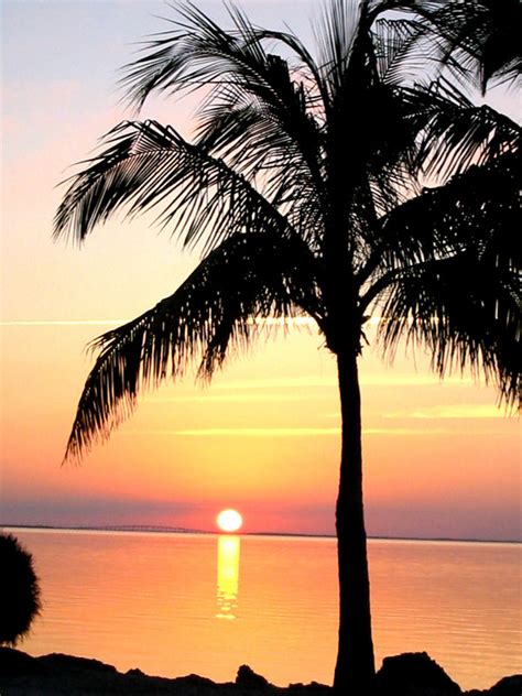 Key Largo Fl Sunset In Key Largo Photo Picture Image Florida At
