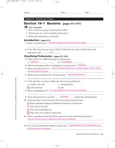 Dna to rna to protein to trait. Chapter 8 From Dna To Proteins Vocabulary Practice Answers : 35 Worksheet 17 Dna Transcription ...