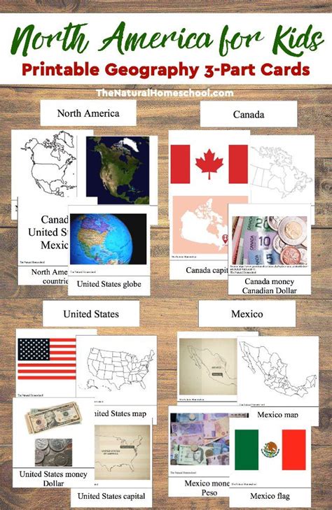 Worksheets are geography work, north american map activity, name date lesson 1 summary lesson 1 geography of mesoamerica, geography of north america map, geography quiz, colonial america geography and culture cassie hill, continents north america crossword. North America for Kids - Printable Geography 3-Part Cards ...
