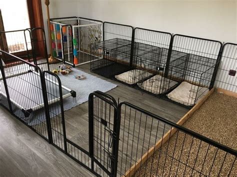 30 Best Indoor Dog Kennel Ideas Indoor Dog Kennel Puppy Kennel Dog